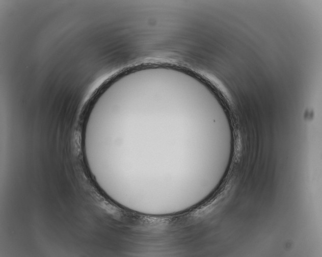 X0000091480878200708161146