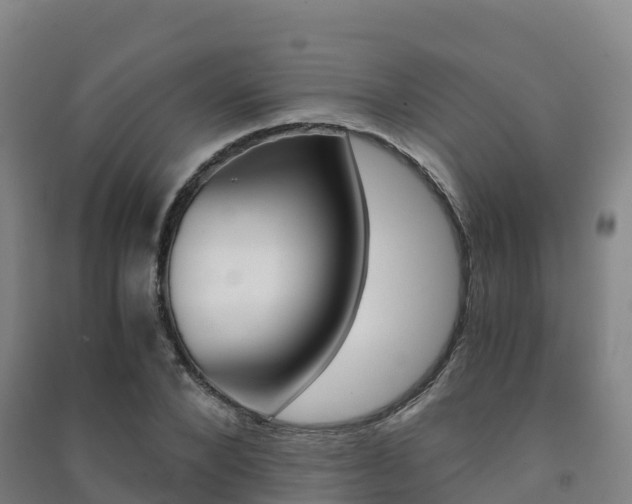 X0000091480880200708161146