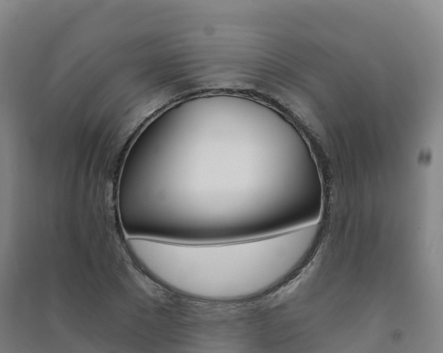 X0000091480881200708161146