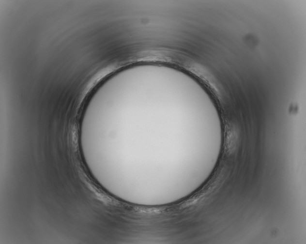 X0000091480882200708161146