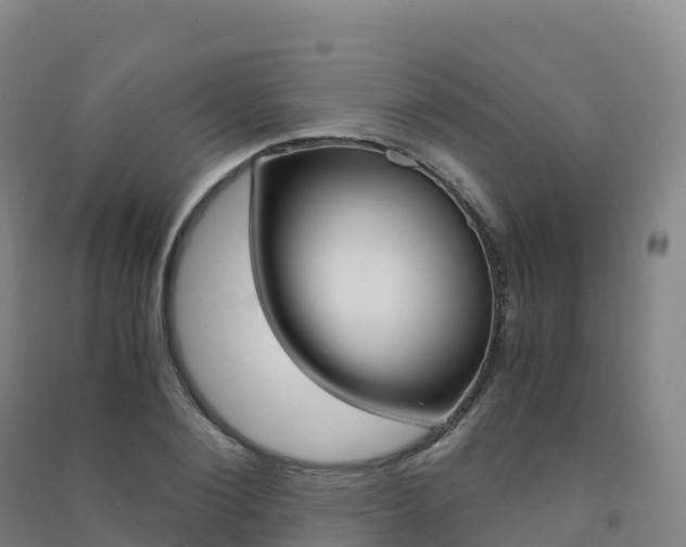 X0000091480884200708161146