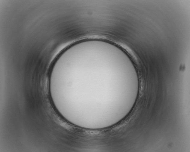 X0000091480886200708161146
