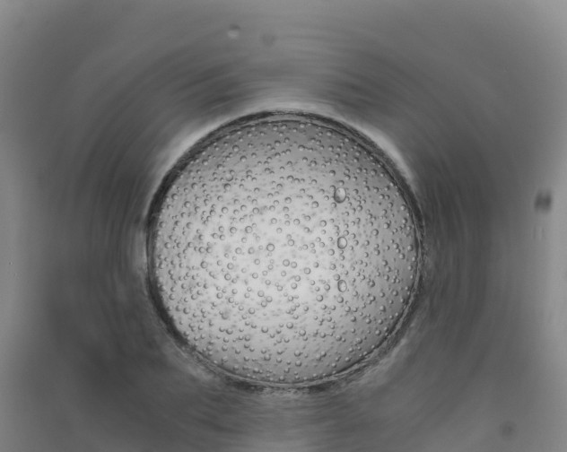 X0000091480887200708161146