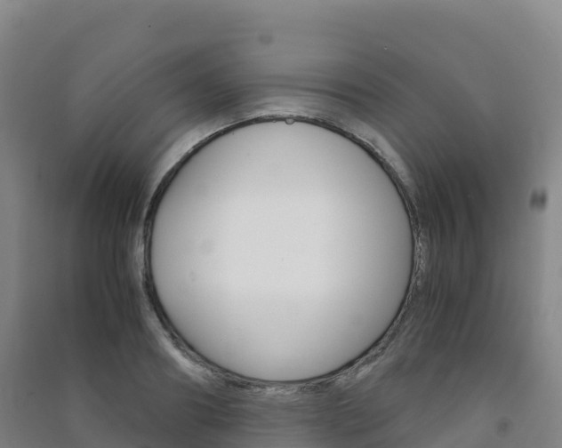 X0000091480890200708161146