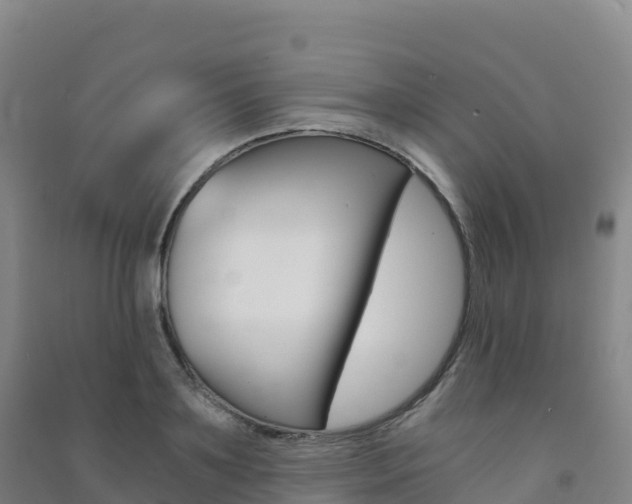 X0000091480891200708161146