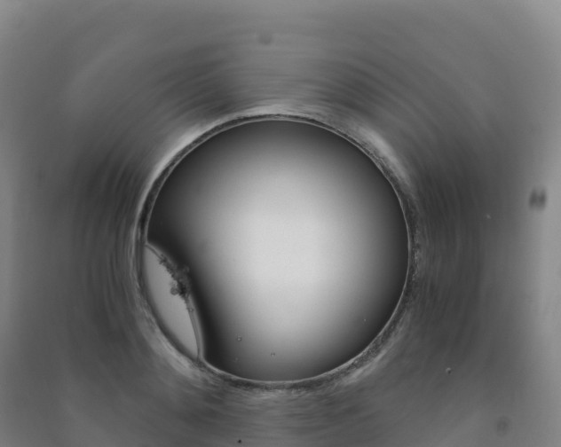 X0000091480892200708161146