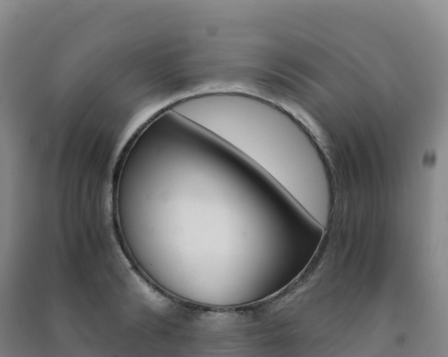 X0000091480894200708161146