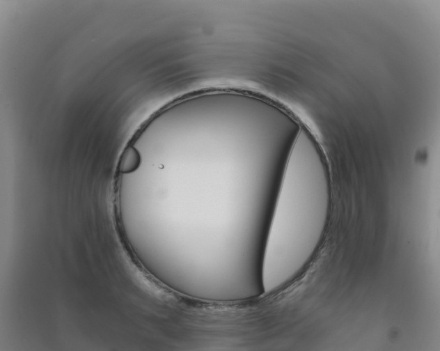 X0000091480895200708161146
