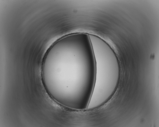 X0000091480896200708161146