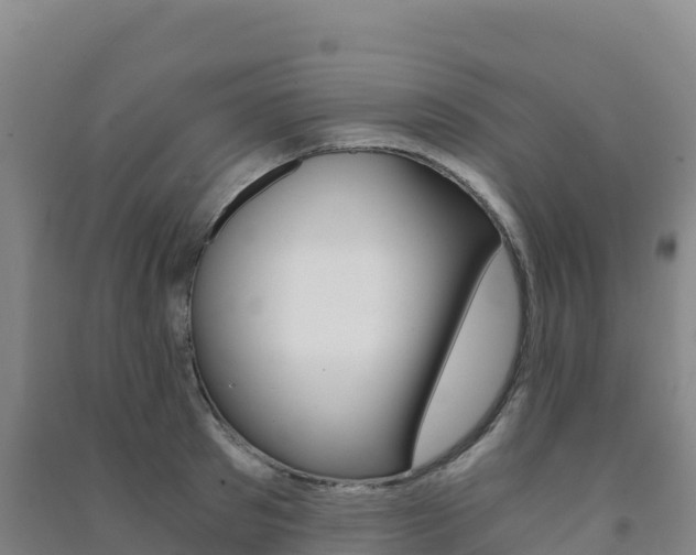 X0000091480897200708161146