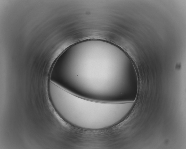 X0000091480898200708161146