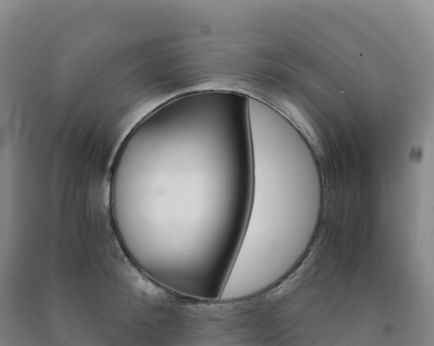 X0000091480900200708161146