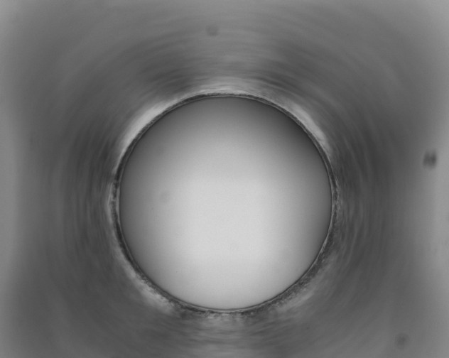 X0000091480901200708161146