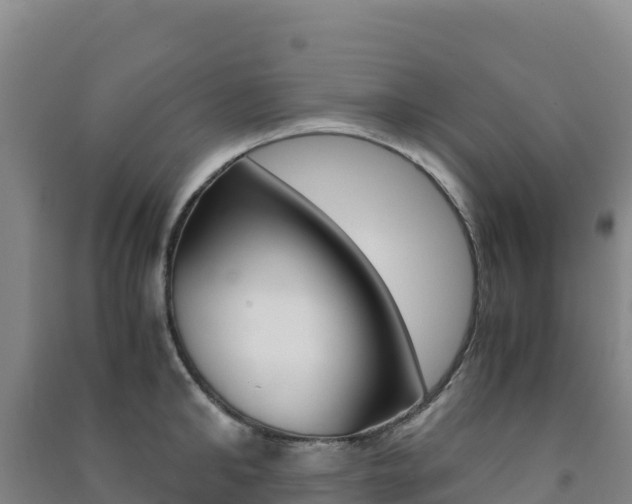 X0000091480902200708161146