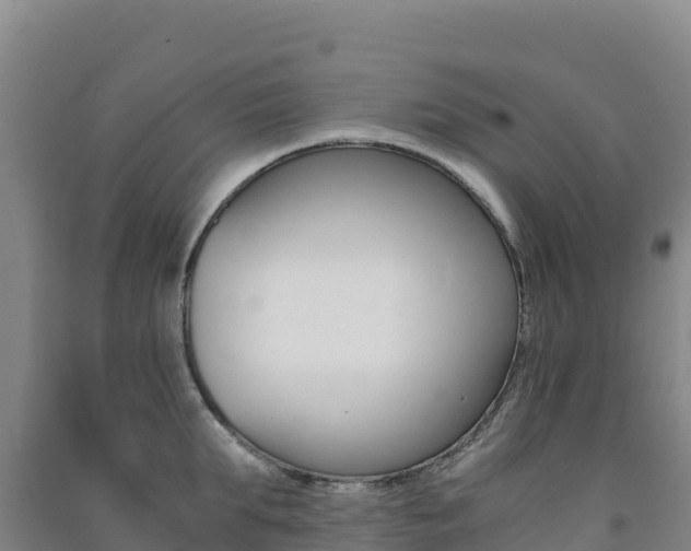 X0000091480903200708161146