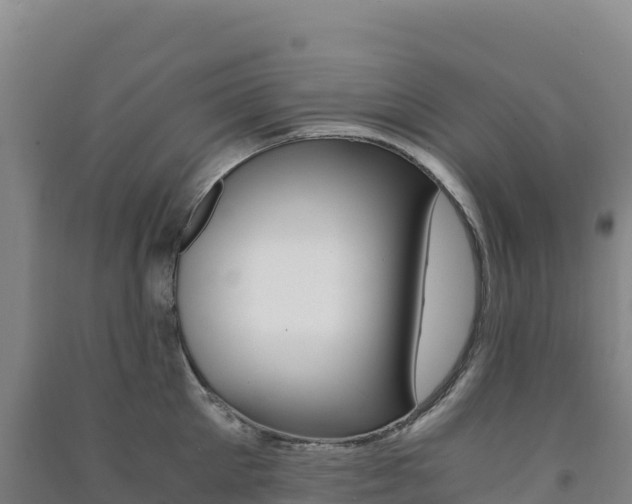 X0000091480905200708161146