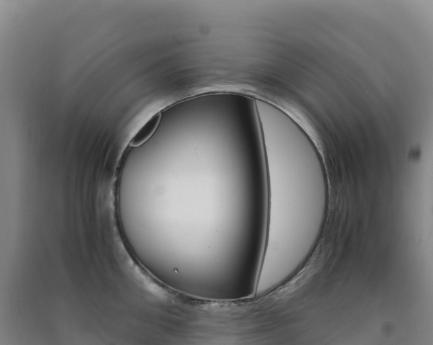 X0000091480906200708161146