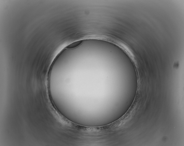 X0000091480907200708161146