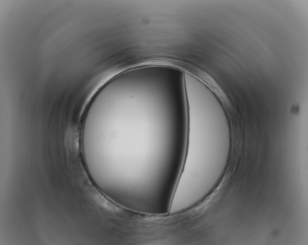 X0000091480908200708161146