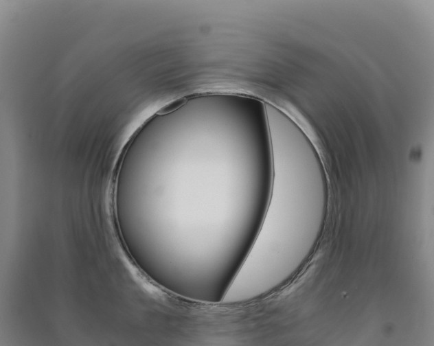 X0000091480909200708161146