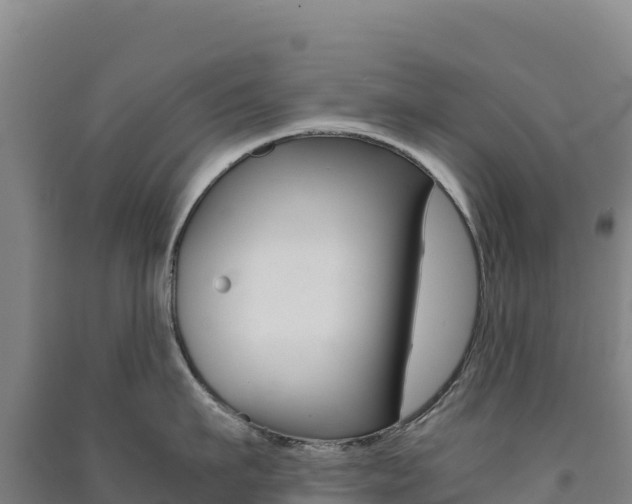 X0000091480911200708161146