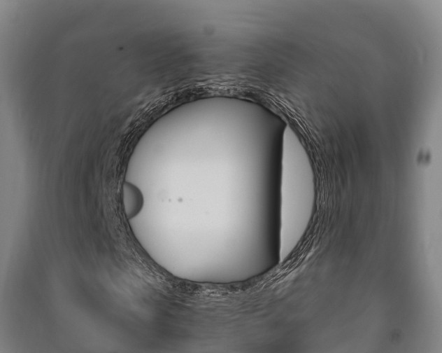 X0000091480913200708161145