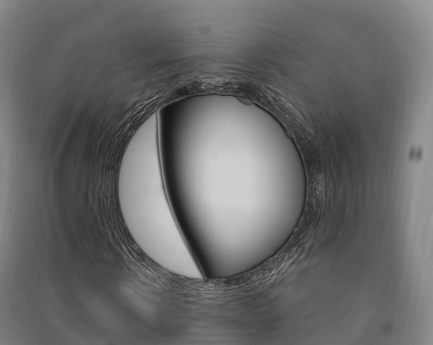 X0000091480914200708161145