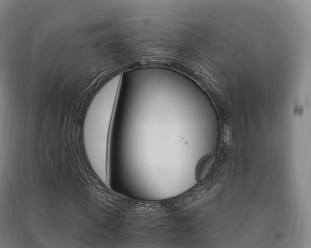 X0000091480915200708161145