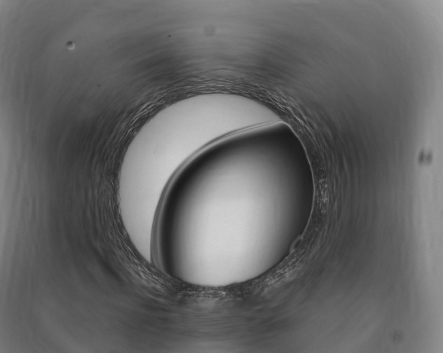 X0000091480916200708161145