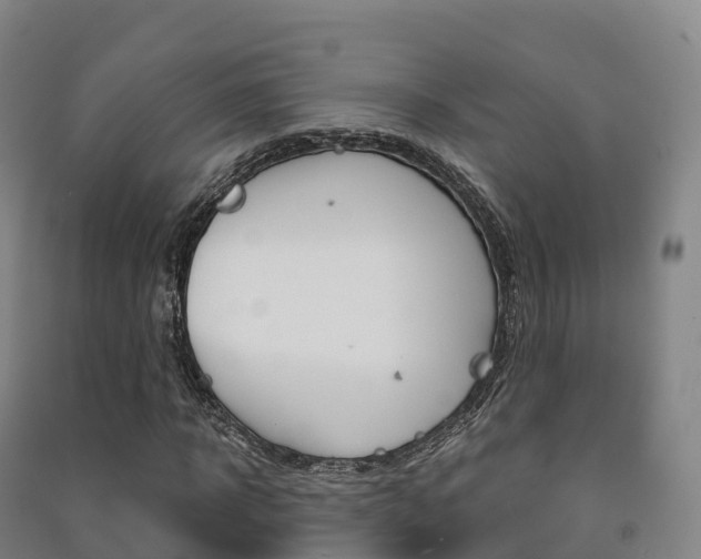 X0000091480918200708161145