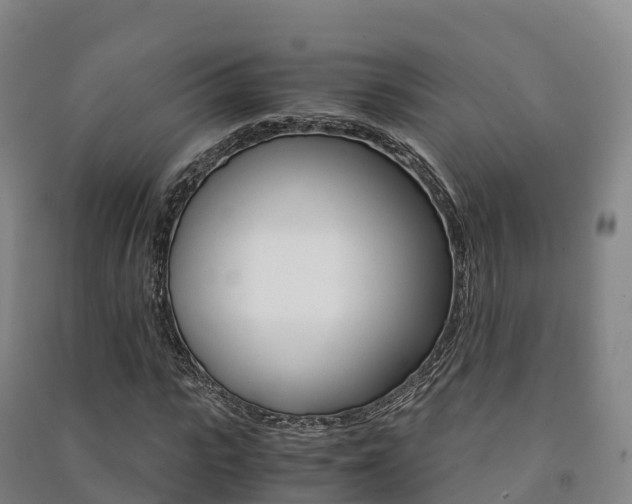 X0000091480919200708161145