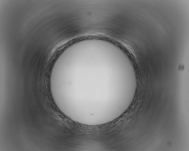 X0000091480920200708161145