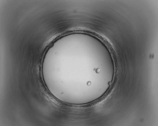 X0000091480921200708161145