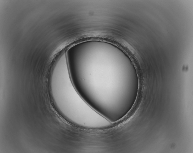 X0000091480922200708161145