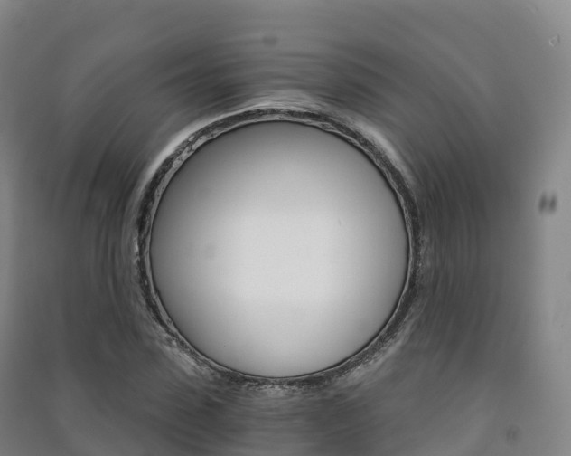 X0000091480923200708161145