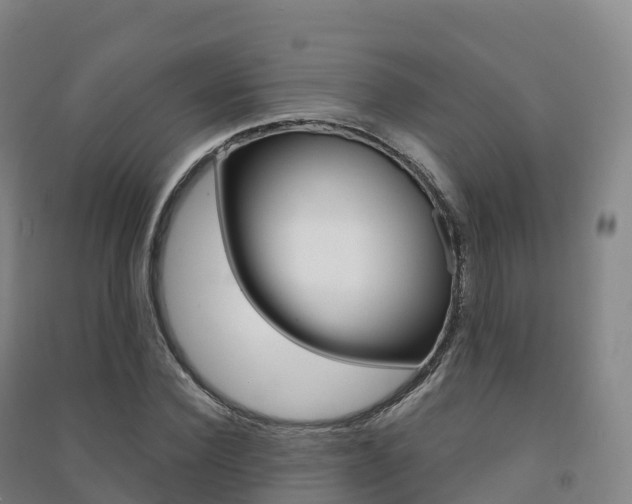 X0000091480924200708161145
