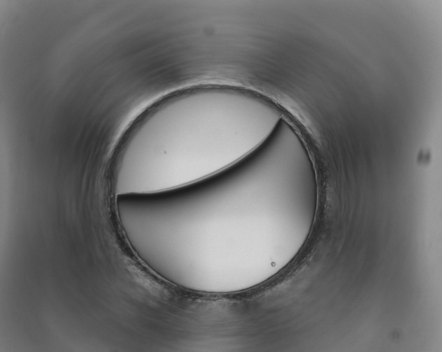 X0000091480926200708161145