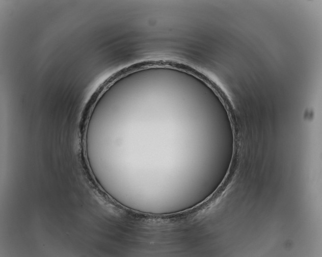 X0000091480927200708161145