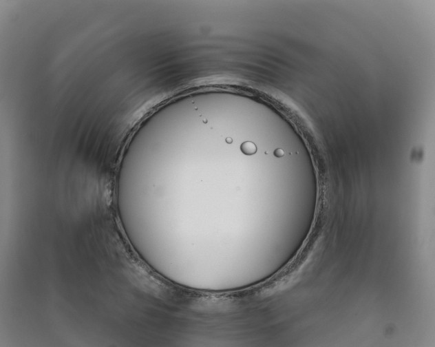 X0000091480929200708161145