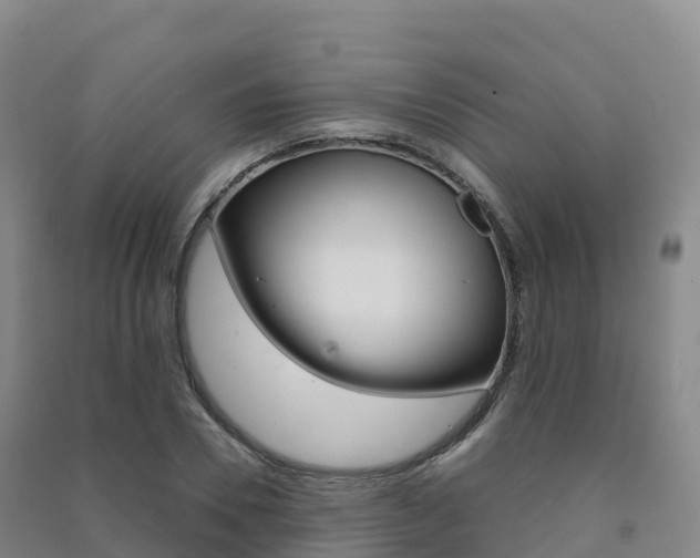 X0000091480930200708161145