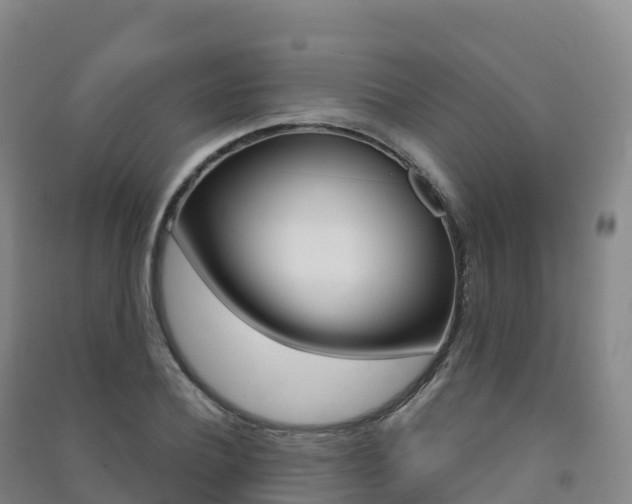 X0000091480932200708161145