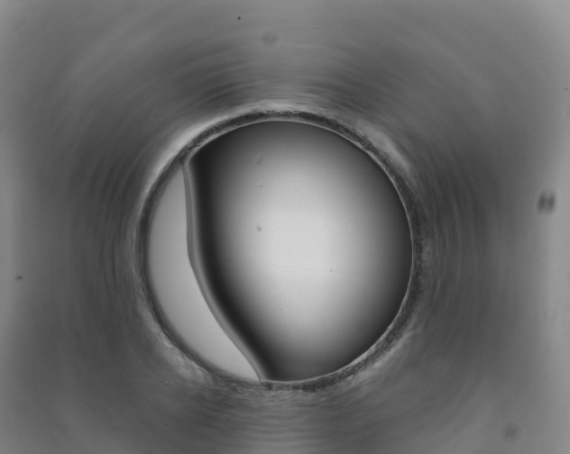 X0000091480934200708161145