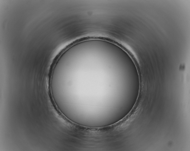 X0000091480935200708161145