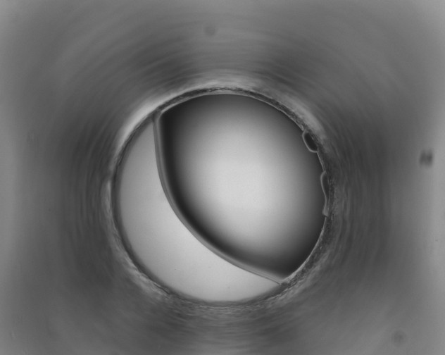 X0000091480936200708161145