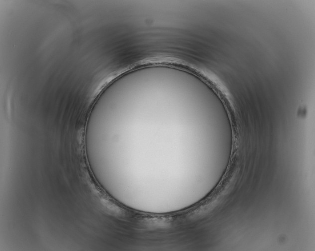 X0000091480937200708161145