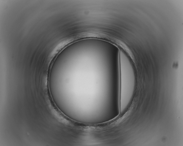 X0000091480938200708161145