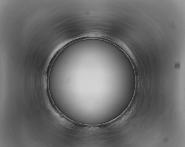 X0000091480939200708161145