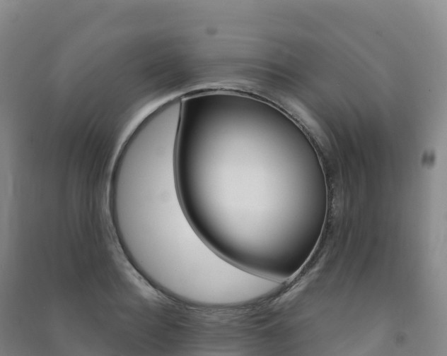 X0000091480940200708161145