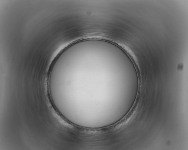 X0000091480941200708161145