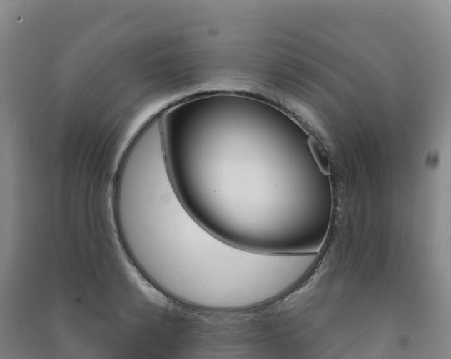 X0000091480942200708161145
